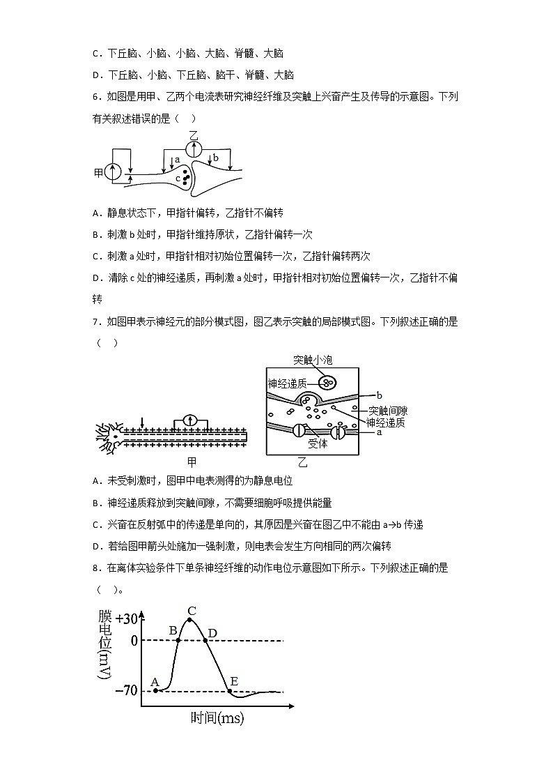 2023枣庄三中高二上学期1月期末考试生物试题含答案02