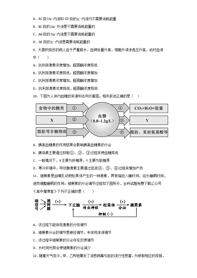 2023枣庄三中高二上学期1月期末考试生物试题含答案03