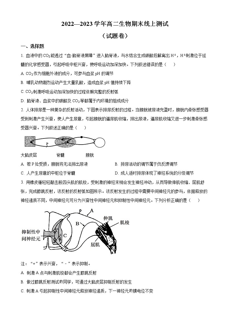 2023青岛多所学校--高二上学期线上期末测试生物含答案第1页