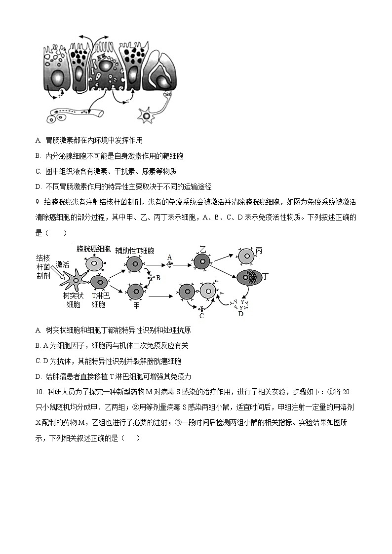 2023武汉部分重点中学高二上学期期末考试生物含解析03