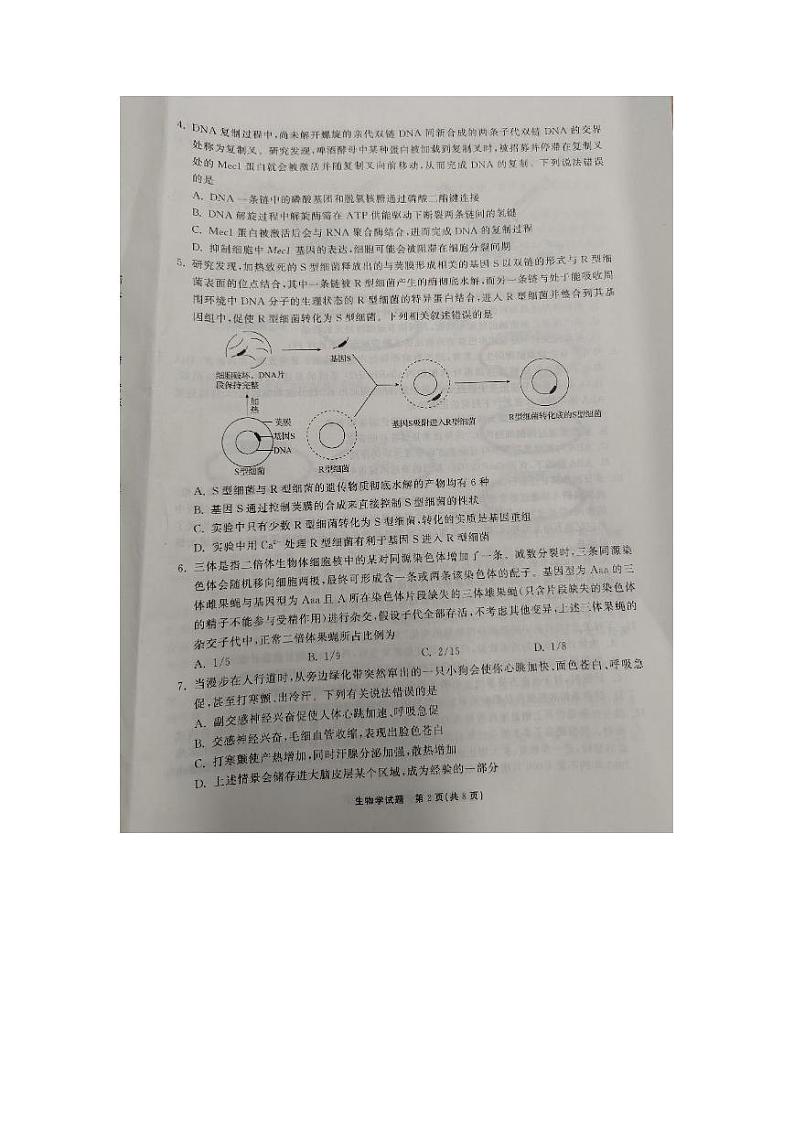 山东省齐鲁名校（潍坊一中、山东师大附中等）2022-2023学年高三下学期开学联考试题  生物试题及答案02