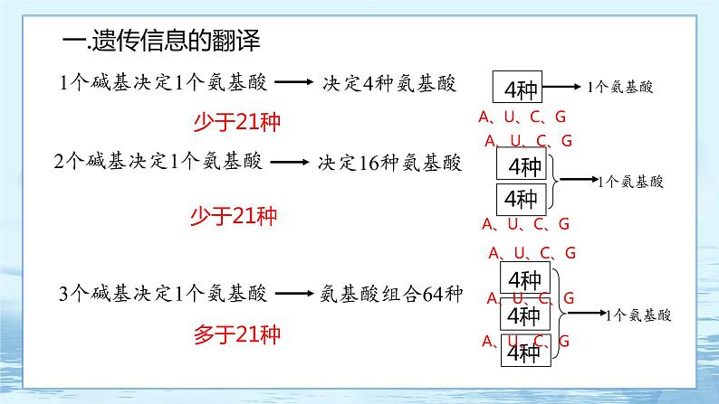 4.1 基因指导蛋白质的合成 课件+练习（人教版2019 必修2）06