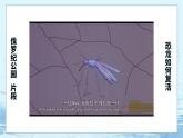 4.1 基因指导蛋白质的合成 课件+练习（人教版2019 必修2）