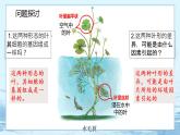 4.2 基因表达与性状的关系 课件+练习（人教版2019 必修2）
