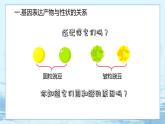 4.2 基因表达与性状的关系 课件+练习（人教版2019 必修2）