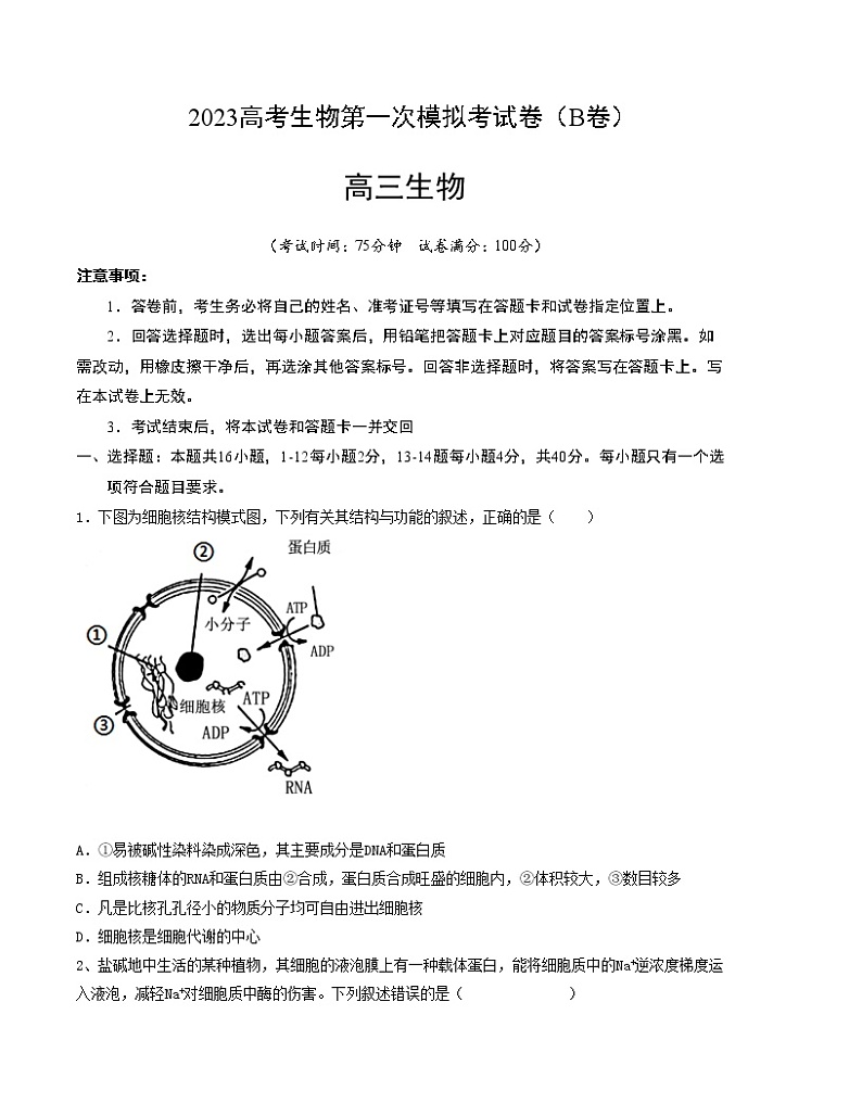 2023年高考第一次模拟考试卷：生物（广东B卷） 版(1)01