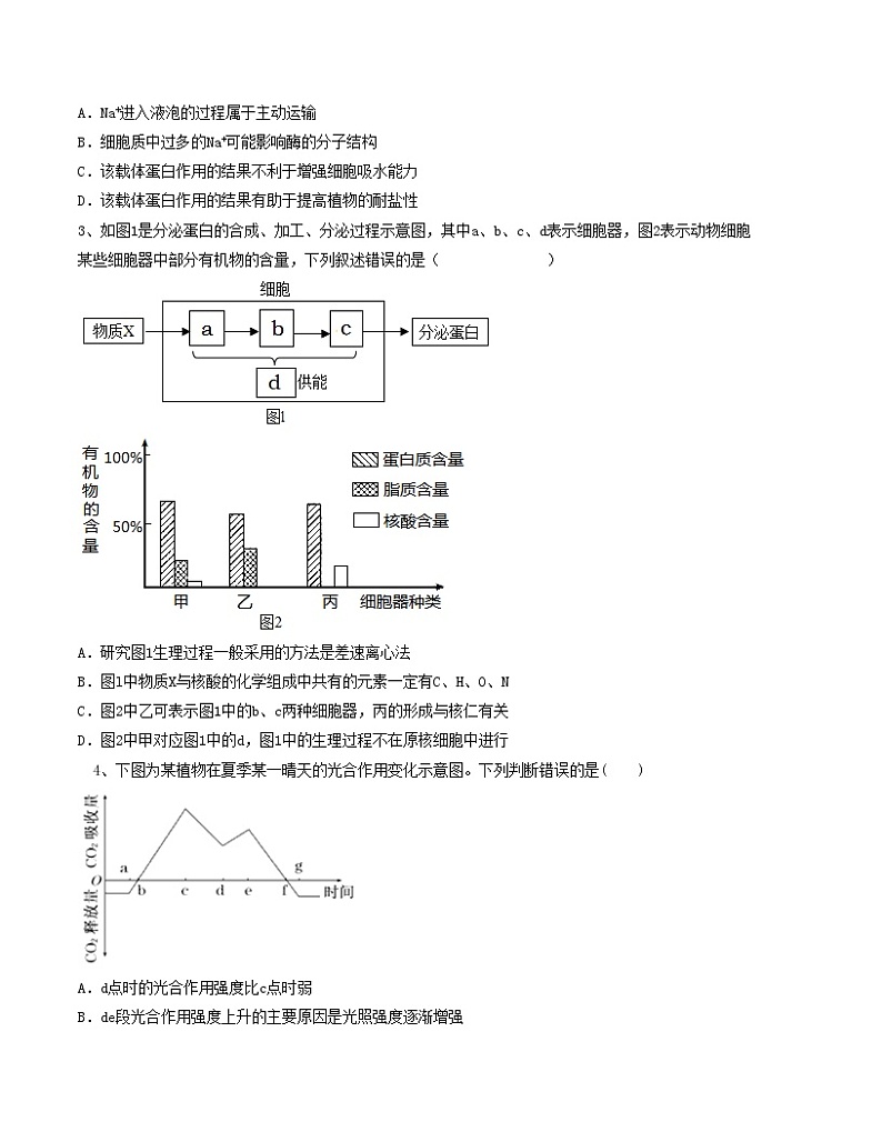 2023年高考第一次模拟考试卷：生物（广东B卷） 版(1)02