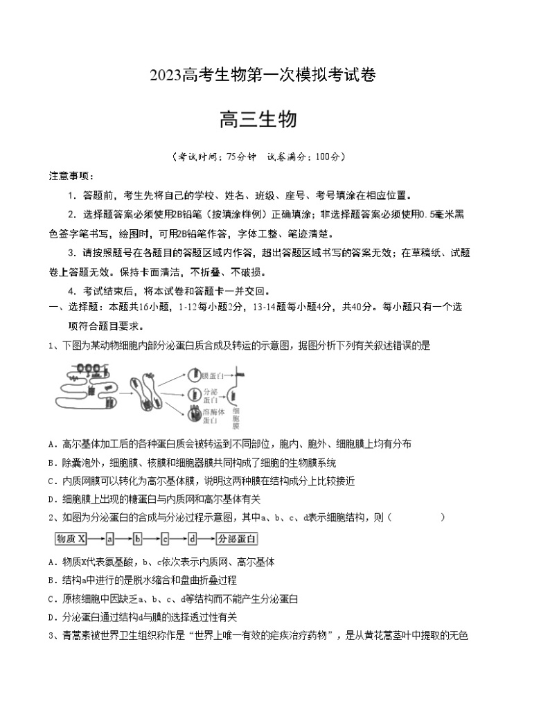 2023年高考第一次模拟考试卷：生物（广东A卷）（考试版）版(1)01