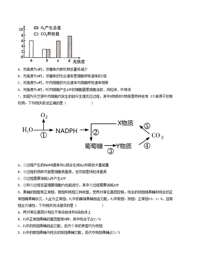 2023年高考第一次模拟考试卷：生物（广东A卷）（考试版）版(1)03