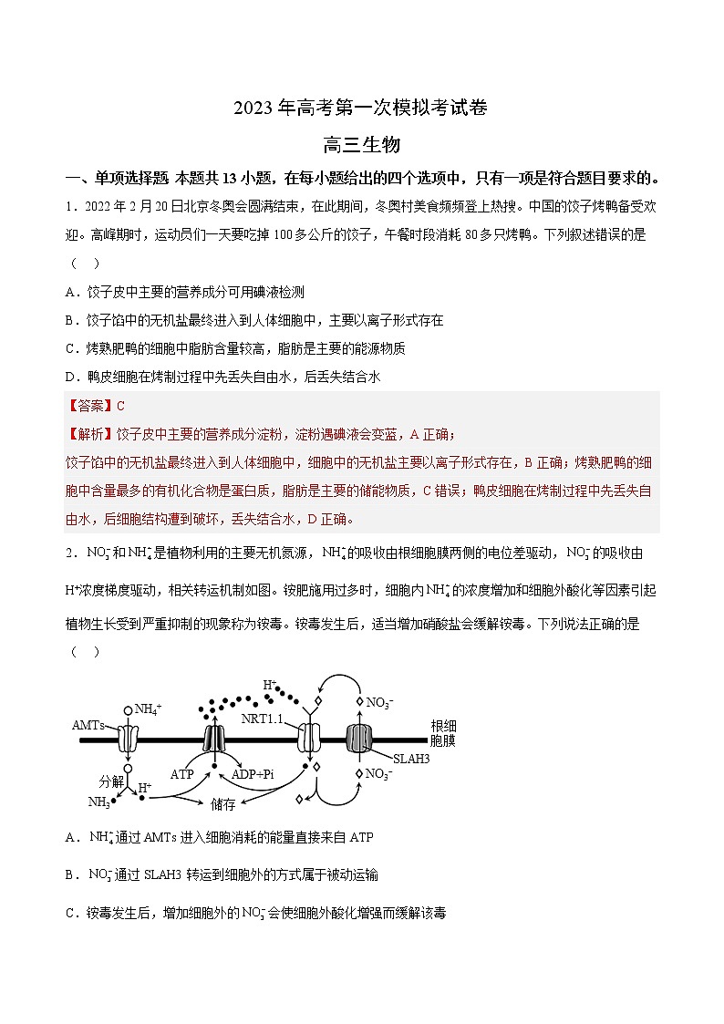 2023年高考第一次模拟考试卷：生物（河北卷）（解析版）01