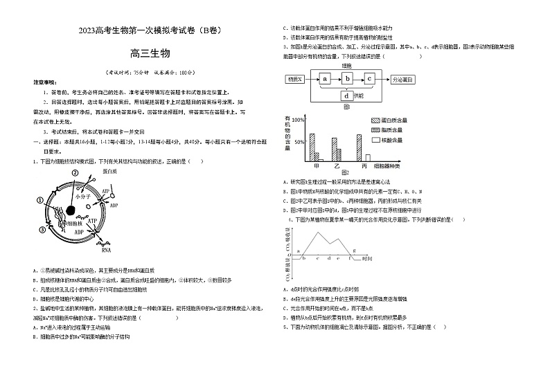 2023年高考第一次模拟考试卷：生物（广东B卷） 版01
