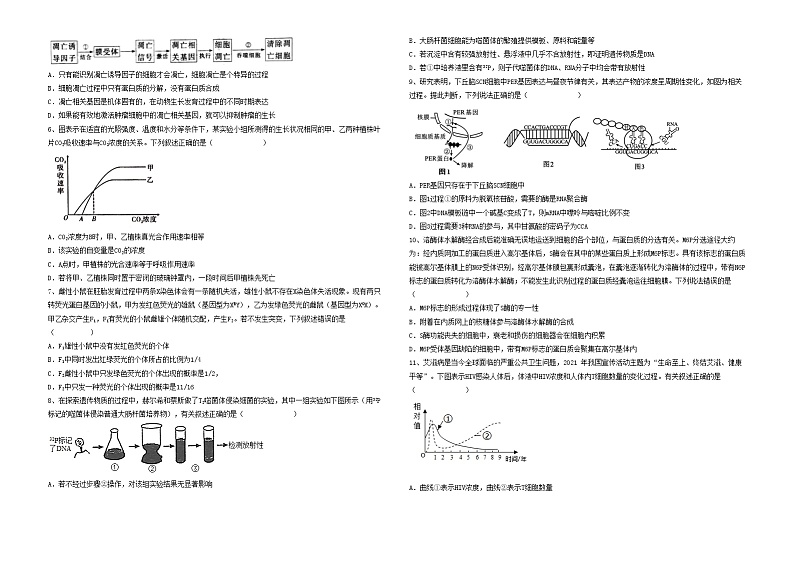 2023年高考第一次模拟考试卷：生物（广东B卷） 版02