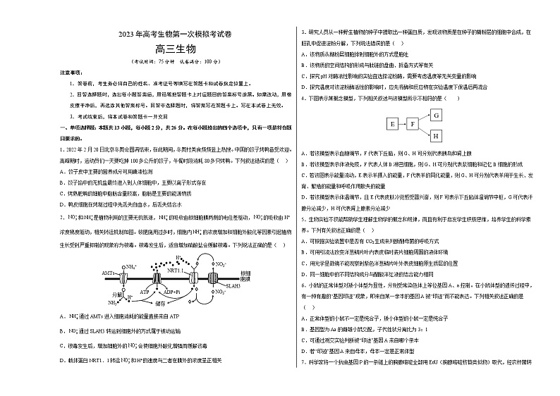 2023年高考第一次模拟考试卷：生物（河北卷）（考试版）第1页