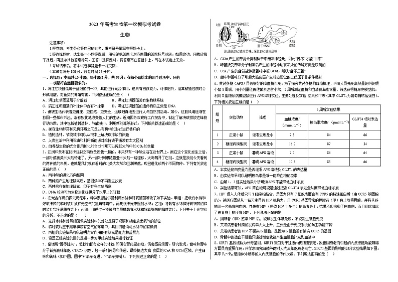 2023年高考第一次模拟考试卷：生物（辽宁卷）（考试版）01