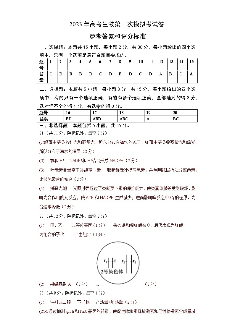 2023年高考第一次模拟考试卷：生物（山东B卷）（参考答案）01