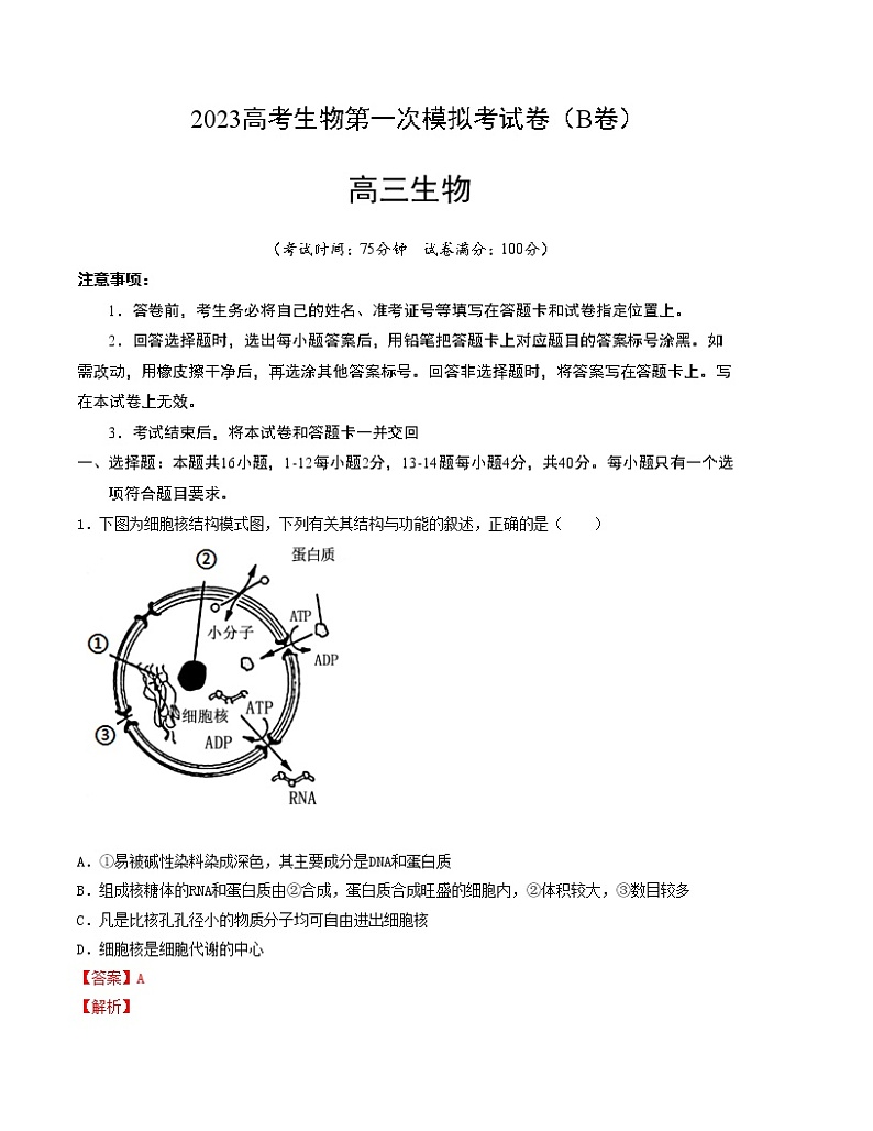2023年高考第一次模拟考试卷：生物（广东B卷）（全解全析）01