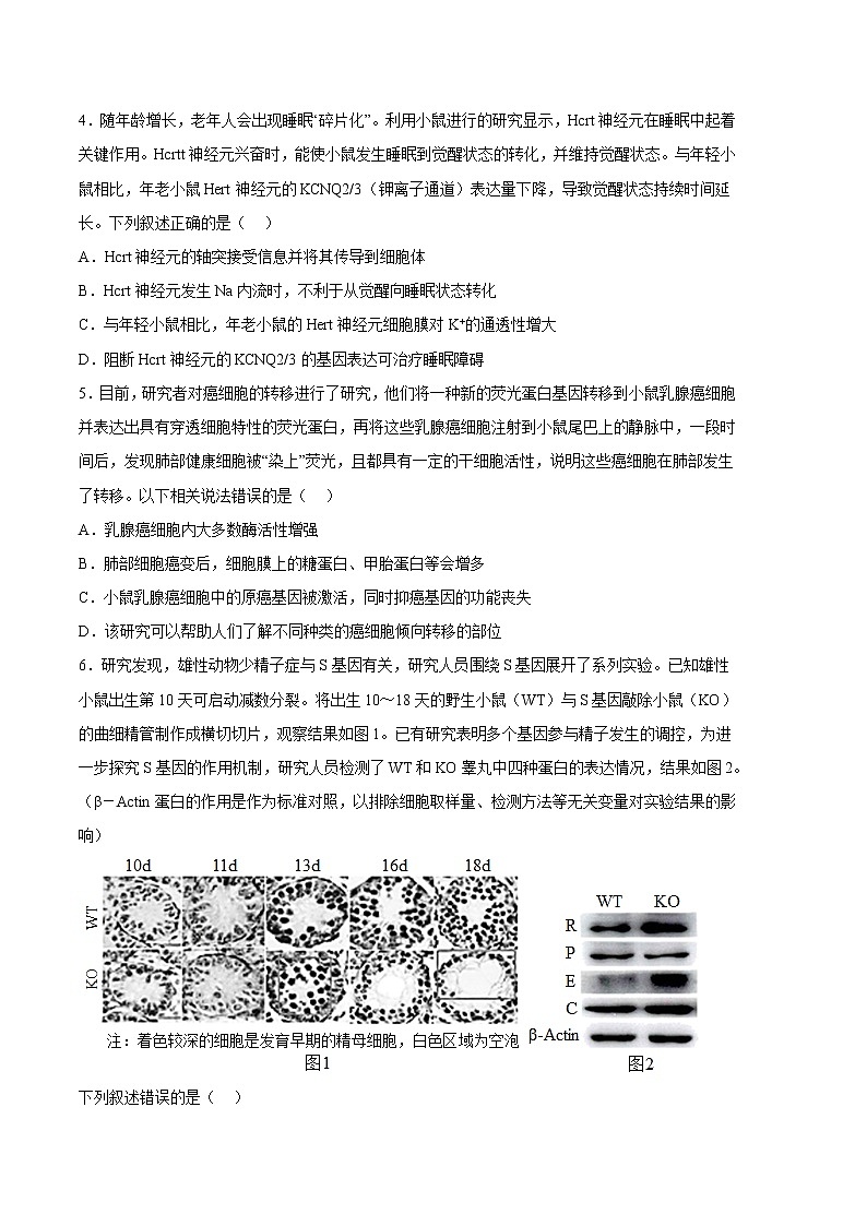 2023年高考第一次模拟考试卷：生物（湖南卷）（考试版）(1)02