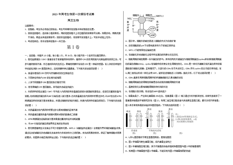 2023年高考第一次模拟考试卷：生物（山东A卷）（考试版）第1页