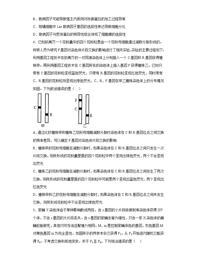 2023年高考第一次模拟考试卷：生物（山东B卷）（考试版）(1)第2页