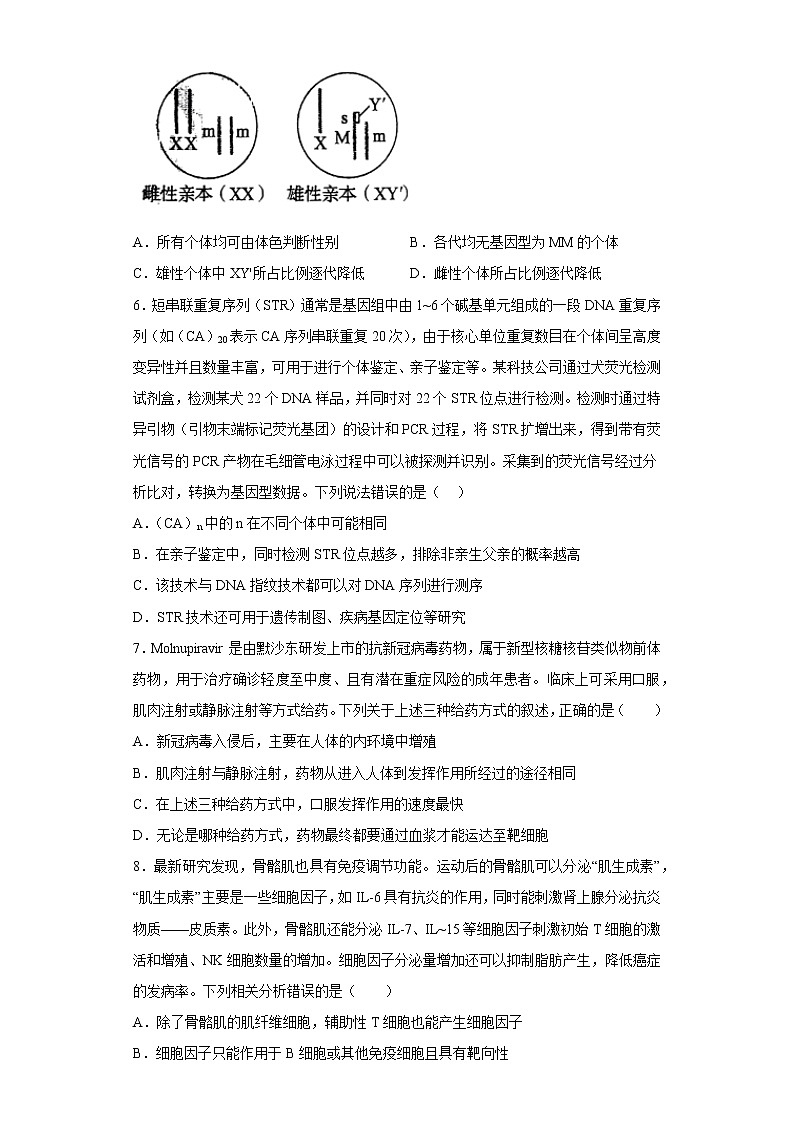 2023年高考第一次模拟考试卷：生物（山东B卷）（考试版）(1)第3页