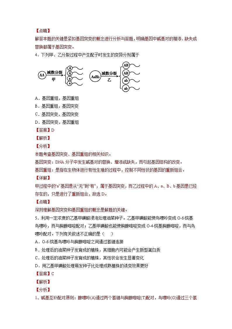 5.1 基因突变和基因重组 课件+练习（人教版2019 必修2）03