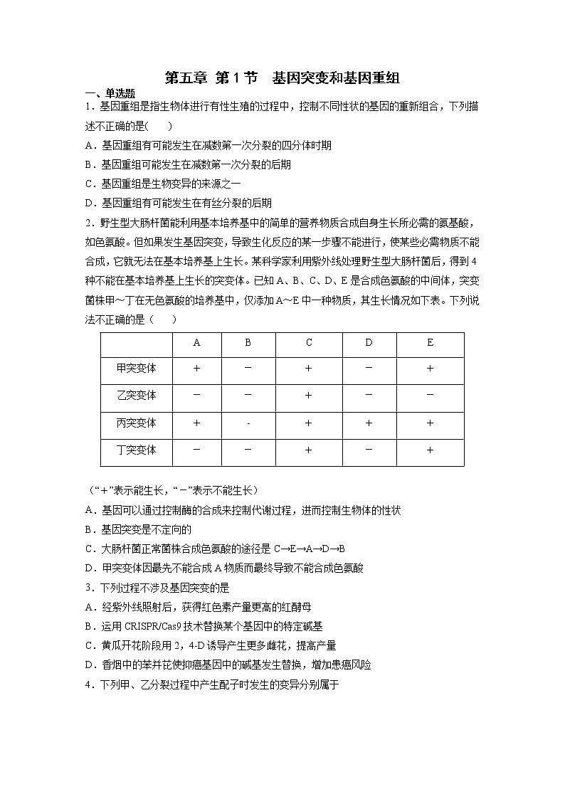 5.1 基因突变和基因重组 课件+练习（人教版2019 必修2）01