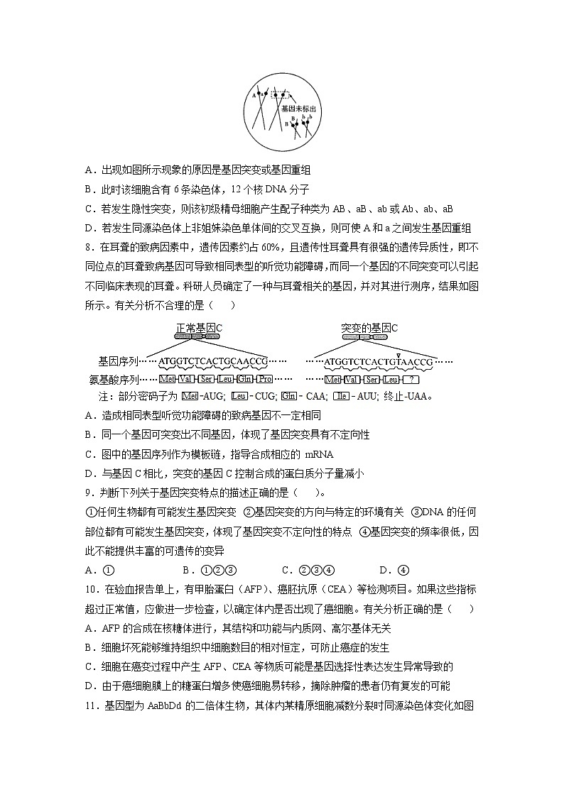 5.1 基因突变和基因重组 课件+练习（人教版2019 必修2）03