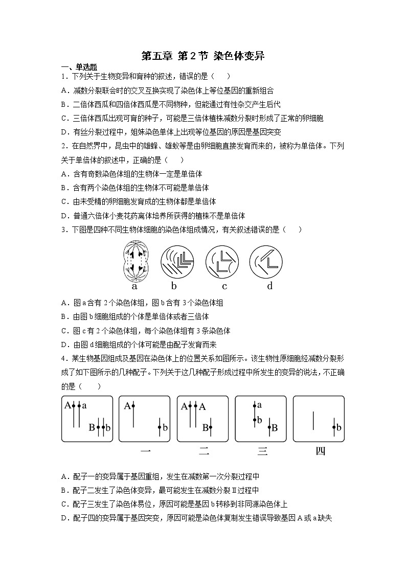 5.2 染色体变异 课件+练习（人教版2019 必修2）01