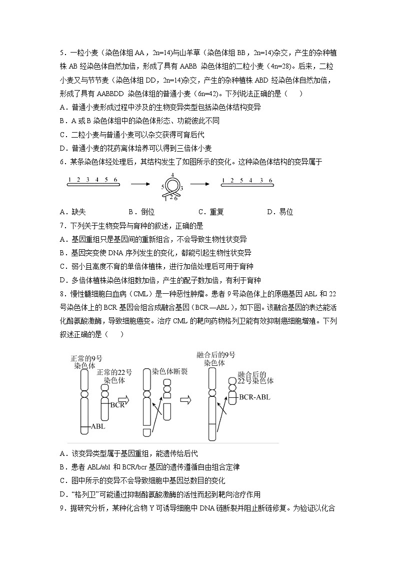 5.2 染色体变异 课件+练习（人教版2019 必修2）02