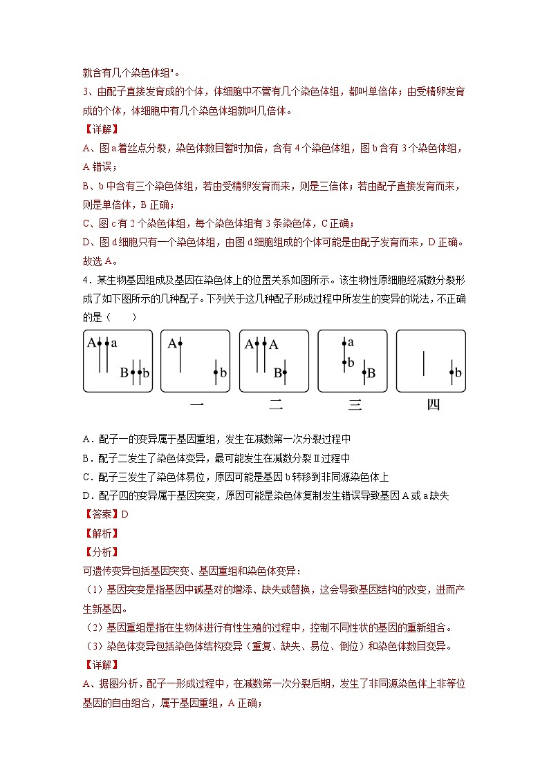 5.2 染色体变异 课件+练习（人教版2019 必修2）03