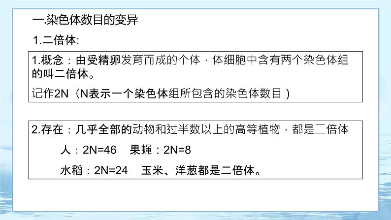 5.2 染色体变异 课件+练习（人教版2019 必修2）03