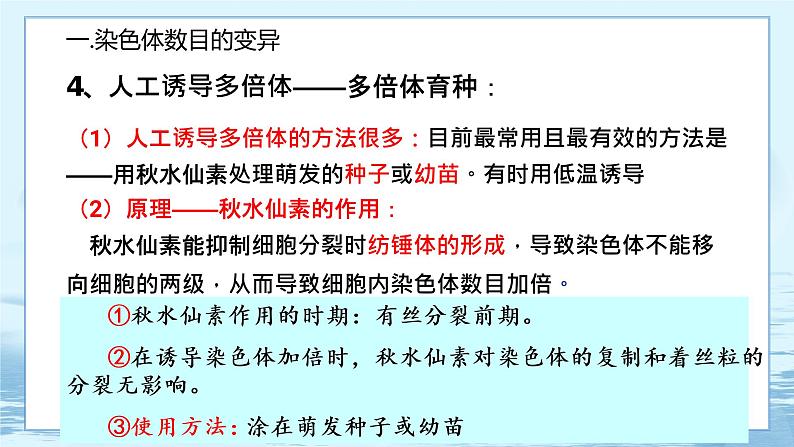 5.2 染色体变异 课件+练习（人教版2019 必修2）08