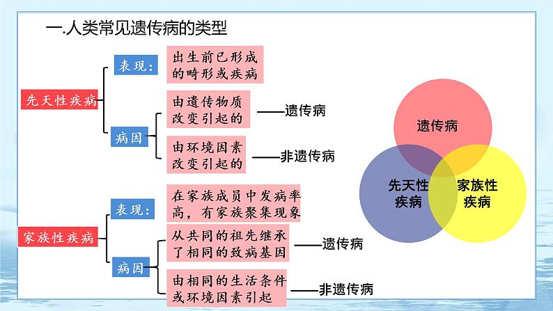 5.3 人类遗传病 课件+练习（人教版2019 必修2）08