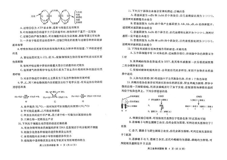 2023年郑州市高三一模生物试卷含答案02