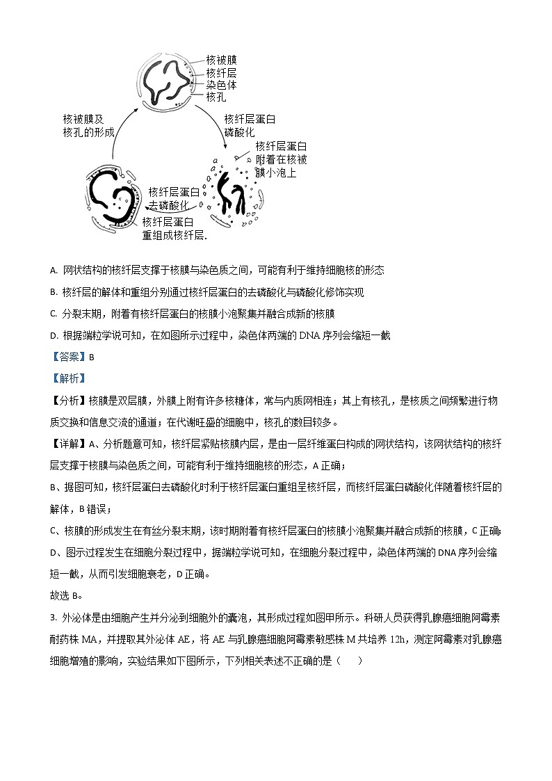 2022-2023学年重庆市巴蜀中学高三上学期高考适应性月考（三）生物试题（解析版）02