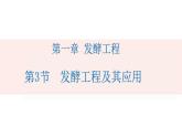 1.3发酵工程及其应用课件2021-2022学年高二下学期生物人教版选择性必修3