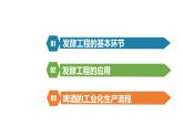 1.3发酵工程及其应用课件2021-2022学年高二下学期生物人教版选择性必修3