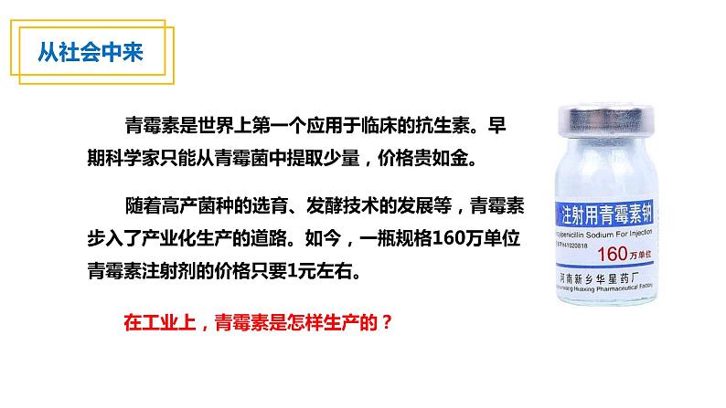 1.3发酵工程及其应用课件2021-2022学年高二下学期生物人教版选择性必修304