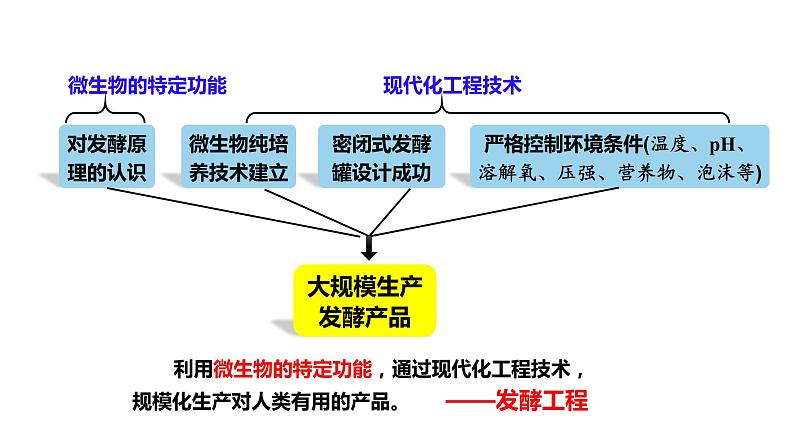 1.3发酵工程及其应用课件2021-2022学年高二下学期生物人教版选择性必修305