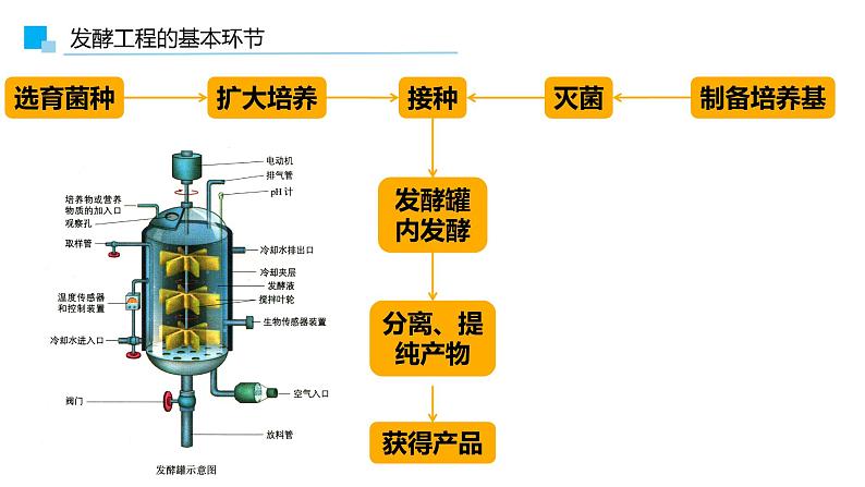 1.3发酵工程及其应用课件2021-2022学年高二下学期生物人教版选择性必修307