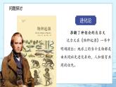 6.1 生物有共同祖先的证据-高中生物 课件+练习（人教版2019 必修2）
