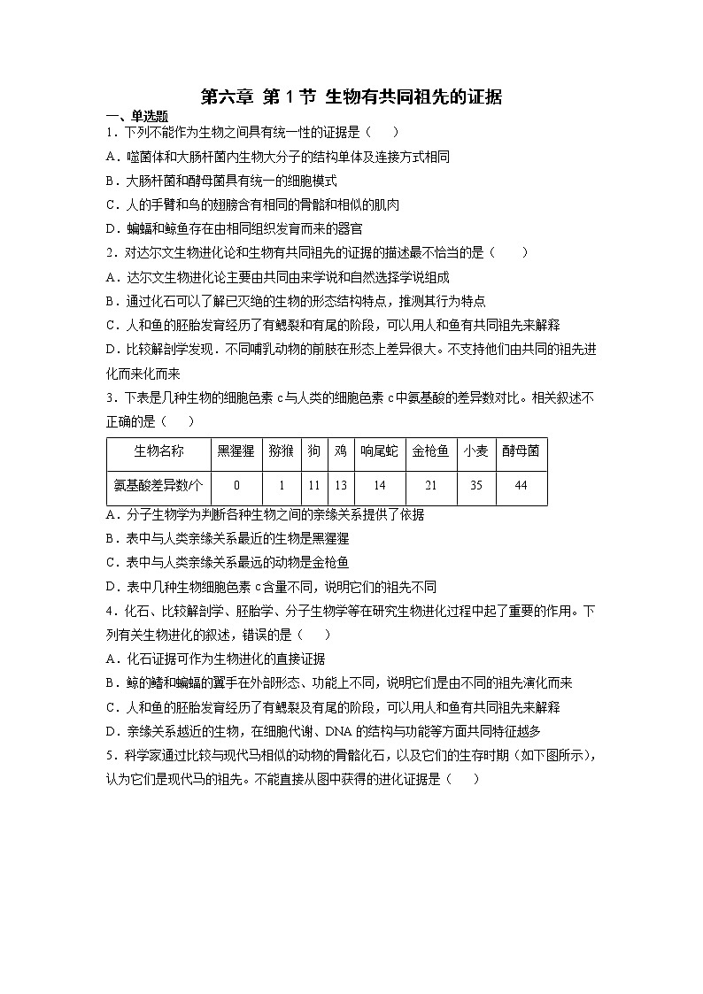 6.1 生物有共同祖先的证据-高中生物 课件+练习（人教版2019 必修2）01