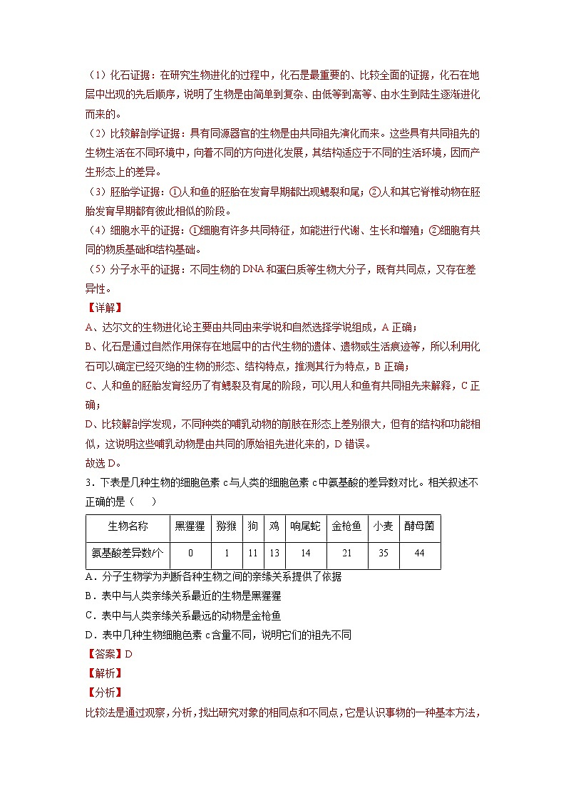 6.1 生物有共同祖先的证据-高中生物 课件+练习（人教版2019 必修2）02