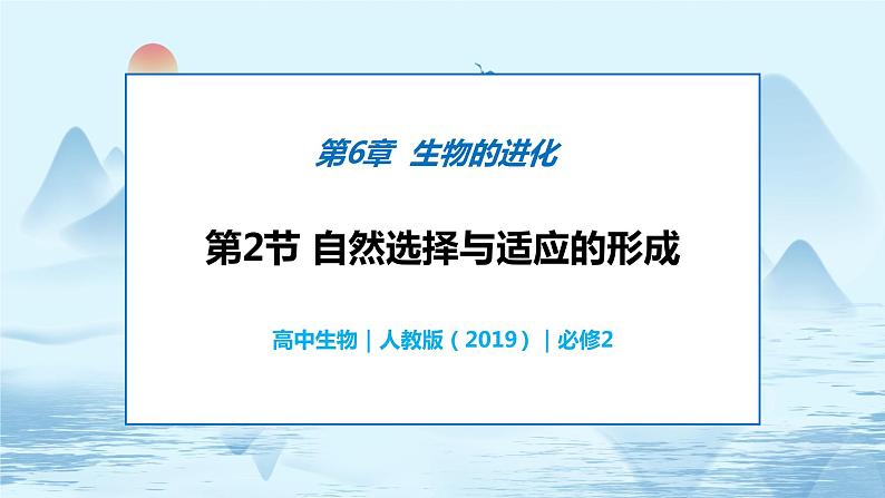 6.2 自然选择与适应的形成-高中生物 课件+练习（人教版2019 必修2）01
