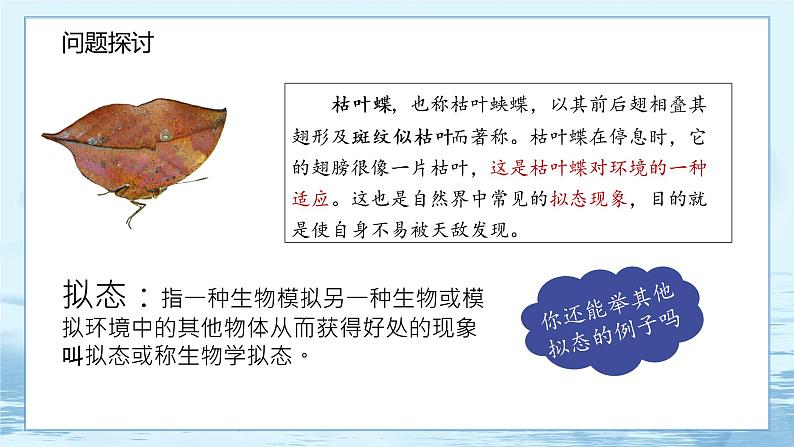 6.2 自然选择与适应的形成-高中生物 课件+练习（人教版2019 必修2）04