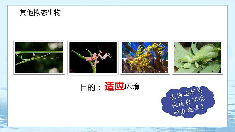 6.2 自然选择与适应的形成-高中生物 课件+练习（人教版2019 必修2）06