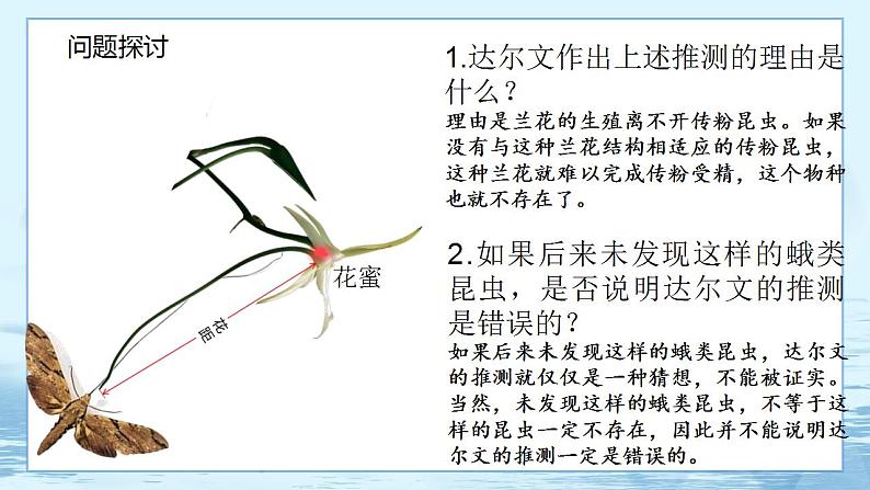 6.4 协同进化与生物多样性的形成第6页