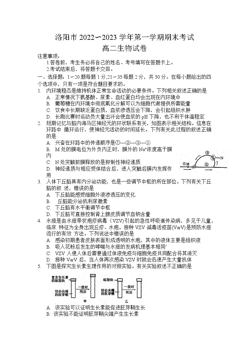 河南省洛阳市2022—2023学年第一学期期末考试高二生物试卷无答案第1页