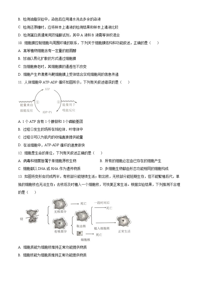 2023温州高一上学期期末考试生物（A卷）含解析02