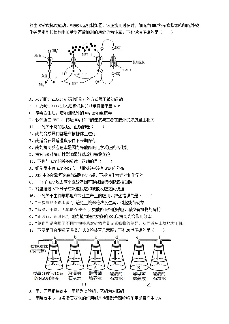 2023遂宁安居育才中学校高一上学期1月期末生物试题含答案03